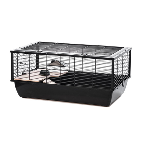 What Size Cage Does A Chinchilla Need